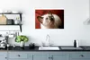 MuchoWow® Poster Junge Siamkatze schaut auf 60x40 cm - Produktbild-Vorschau 3