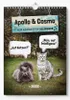 Apollo & Cosmo - Kein Kalender für Allergiker Produktbild-Vorschau 2
