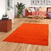 Natur Teppich Indo Gabbeh Ella Terrakotta, Größe:90x160 cm Produktbild-Vorschau 1