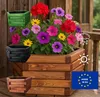 HolzGarden Pflanzkübel Holz 60x30x53 cm Imprägniert Farbe Produktbild-Vorschau 3