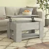 A concrete gray lift-top coffee table is placed in front of a sofa, with a bowl of fruit and a mug on its surface. The table has a shelf underneath and is on a patterned rug. Náhled obrázku produktu