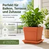 Pflanztopfuntersetzer Jana Terrakotta 41 x 41 cm - Produktbild-Vorschau 2