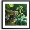 Gerahmtes Poster - Schwarzer Rahmen - Dschungel Leopard Produktbild-Vorschau 1