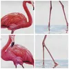 Bild auf Leinwand - Leinwandbild - 4 Teile - Flamingos Rosa Produktbild-Vorschau 8