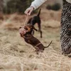 Hunter Inari, Hund, Seil, Rose, Baumwolle, Kauend, 6 cm Produktbild-Vorschau 4