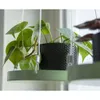 Esschert Design PY120, 240 mm, 240 mm, 21 mm, 1 Stück(e) Produktbild-Vorschau 2