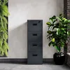 A dark gray four-drawer filing cabinet stands against a textured gray wall, with a lush green plant in a black pot to its right. Náhled obrázku produktu