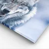 Bild auf Leinwand - Leinwandbild - Einteilig - Wolf Produktbild-Vorschau 5
