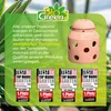 Biogreen Kerzen-Frostwächter FireFly, Terracotta Pilzform, Produktbild-Vorschau 6