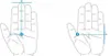 Diagrams showing how to measure a hand for glove sizing. Produktbild-Vorschau