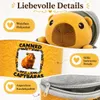 Capybara Kuscheltier in Dose, Plüschtier sortiert, ca. 19 Produktbild-Vorschau 6