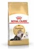 Royal Canin Persian 4 kg Produktbild-Vorschau 2