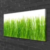 Tulup Leinwand-Bilder 100x50 Wandbild Canvas Kunstdruck Produktbild-Vorschau 2