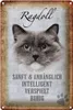 Blechschild Spruch 20x30cm Ragdoll Katze sanft Schild Produktbild-Vorschau 1