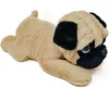 A plush toy pug lying down on a white background. Produktbild-Vorschau