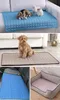 Kühlmatte Hunde, Selbstkühlende Hundematte, Kühldecke Produktbild-Vorschau 5