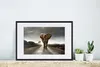 MuchoWow® MuchoWow® Gerahmtes Poster Elefant - Natur - Produktbild-Vorschau 4