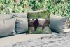 MuchoWow® Outdoor Kissen - Panda - Baum - Tiere - Natur - Produktbild-Vorschau 2