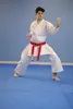 Kata dres PUNOK WKF [3,5] 175 cm Náhled obrázku produktu 10