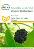 Artikelbild 1 von 'Schwarzer Maulbeerbaum' aus der Kategorie Exotische Samen Podgląd zdjęcia produktu