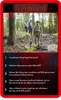 Quiz Stranger Things Produktbild-Vorschau 4