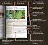 Forgotten Home Apothecary: 250 Powerful Remedies at Your Produktbild-Vorschau 4