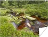 MuchoWow® Poster Rot gefärbter Fluss im deutschen Produktbild-Vorschau 1