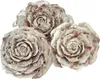Zedernzapfen Rosenform 4-6cm Weiß/Natur 50 St., 50 Stück Produktbild-Vorschau 1