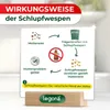 Legona Schlupfwespen gegen Lebensmittelmotten 9 Träger à 3 Produktbild-Vorschau 3