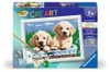 Ravensburger Malen nach Zahlen 27839 - Süße Hundewelpen – Produktbild-Vorschau 2