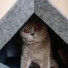 Rexproduct - Buda dla psa PetHome z powierzchnią do leżenia Podgląd zdjęcia produktu 4
