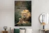 MuchoWow® Poster Löwen - Raubtiere - Porträt 120x180 cm - Produktbild-Vorschau 4