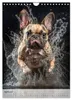 Französische Bulldogge - ein Hund für die Familie Produktbild-Vorschau 7