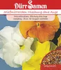 Stiefmütterchen ohne Auge Mischung | Stiefmütterchensamen Produktbild-Vorschau 1