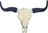 A white buffalo skull with black horns against a white background. Podgląd zdjęcia produktu
