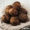 Sadbové brambory Bintje A 28/35 (5 kg) - Organifer Náhled obrázku produktu 2