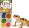 Obst-Gelees Für Reptilien - 6Er Mix Aus Verschiedenen Produktbild-Vorschau 1
