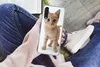A person is holding a phone case with a cat image on it, while sitting down. Produktbild-Vorschau