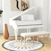 A white grand piano with a bench in front of it, placed on a circular rug with a sunburst pattern. A tall wooden vase is to the left of the piano. Two abstract art pieces hang on the wall behind the piano. Podgląd zdjęcia produktu