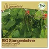 Samenliebe  Bohne Samen | Scarlet Emperor - rote Blüten & Produktbild-Vorschau 1
