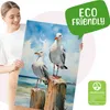 Muralo Leinwandbild CANVAS MÖWEN Über Dem Meer Natur Br. 20 Produktbild-Vorschau 4