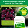 Purgrün Skimmie-Dünger 1 Liter, Produktbild-Vorschau 4