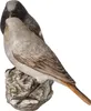 Goebel Vogel des Jahres 2025 Hausrotschwanz Paar Figur Produktbild-Vorschau 1