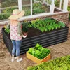 A person is tending to a raised garden bed filled with plants, with a greenhouse in the background. Voir les images du produit