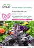 SAFLAX - Rotes Basilikum - Ocimum basilicum - 200 Samen Produktbild-Vorschau 1