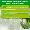 Purgrün -Rosmarin-Dünger 1 Liter, Produktbild-Vorschau 3