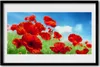 Bild 60x40 MDF-Rahmen Wandkunst Die Pflanze Mohn Natur Produktbild-Vorschau 1