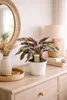 A potted plant is displayed on a wooden dresser next to a mirror and a lamp. Anteprima dell’immagine prodotto