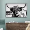 OneMillionCanvasses® - Obrazy na plátně - Kráva - Skotský Náhled obrázku produktu 4