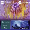 A split image showing a close-up of a flower, with one side labeled "FullHD" and the other "4K UltraHD". The bottom section displays logos for "Matter", "HDR10+", "dts:X", and a diagram of a TV with sound waves, labeled "Dolby Atmos". Voir les images du produit